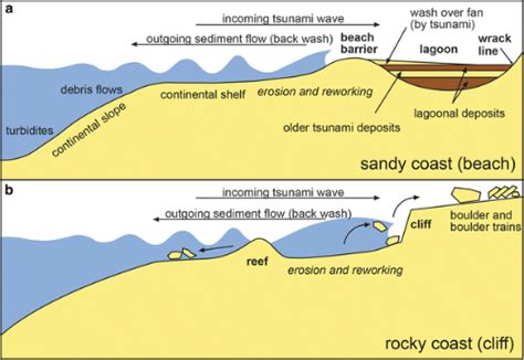 Tsunami Landfall And Deposits Along Sandy Shores And Various Types