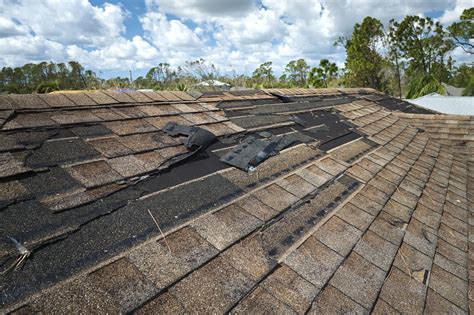 How Long Do Shingles Last Citrus Roofing