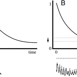 Schematic plots show the response magnitude of a neuron that exhibits ... 