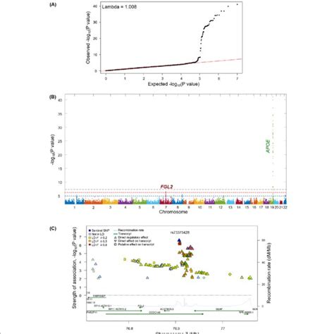 A Q Q Plot B Manhattan Plot Of GWAS Analysis C Regional Association