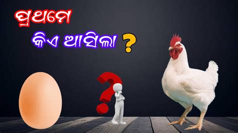 ଦୁନିଆକୁ ପ୍ରଥମେ କୁକୁଡ଼ା ଆସିଲା ନା ଅଣ୍ଡା Which Come 1st Chicken 🐔or Egg