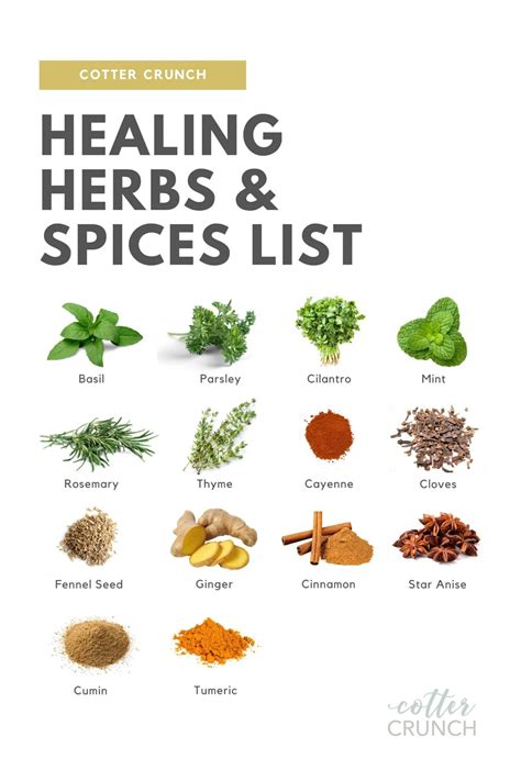 Healing Herbs and Spices List + Guide | Healing herbs, Herbs for health, Herbs