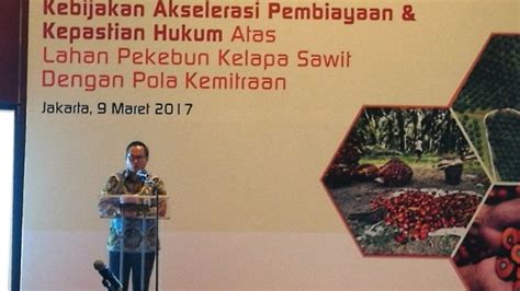 Bank Mandiri Kucurkan Kredit Ke Sektor Perkebunan Kelapa Sawit Senilai