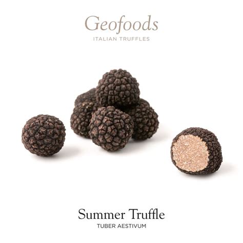 Tartufo Estivo Tuber Aestivum Summer Truffle