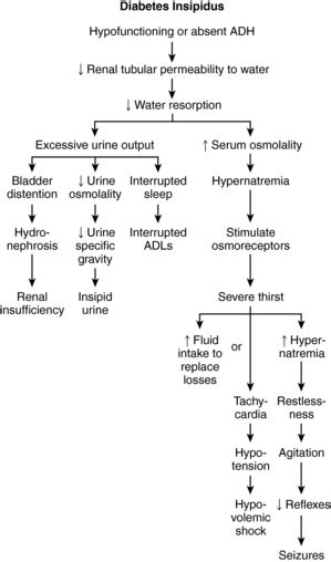 9 Diabetes Insipidus Nurse Key