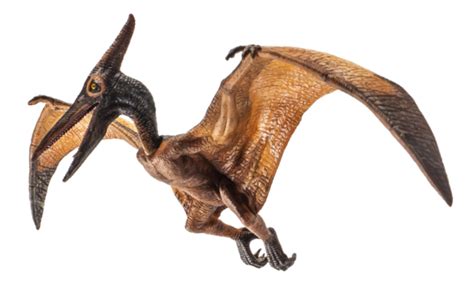 Pterodáctilo PNG para descargar gratis