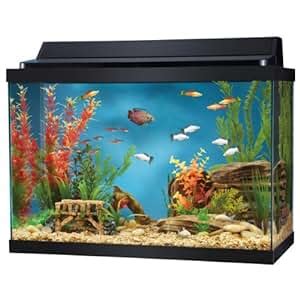 Amazon.com : Top Fin® 20 Gallon Aquarium Hood Combo : Pet Supplies