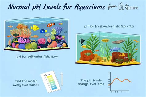 Aquarium Water pH Maintenance