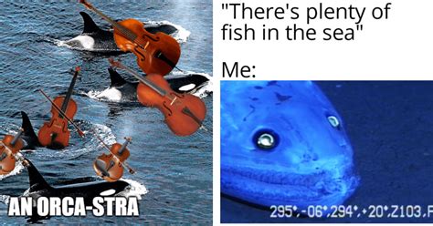 Fin Tastic Deep Sea Creatures Memes To Increase Our Serotonin For The