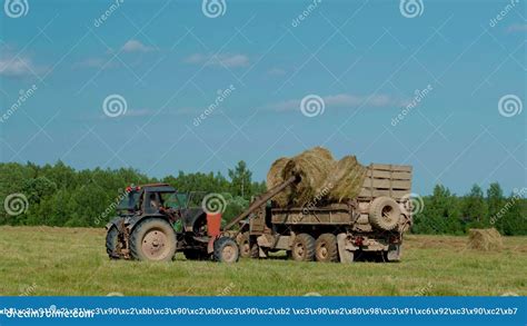 Harvesting Hay Tractor Loading Hay Bales On A Trailer Stock Video