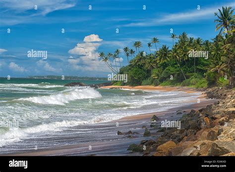 Tropical Beach in Matara, Sri Lanka Stock Photo - Alamy