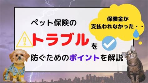 契約更新時は要注意！慢性疾患になったときのリスクとは？｜ペット保険のトリセツ