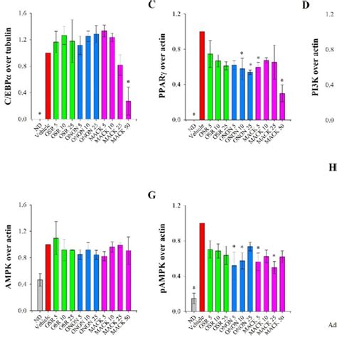 Protein Level Of Adiponectin A CCAAT Enhancer Binding Protein Alpha