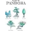 Men's Avatar Flora Of Pandora Sketches Tank Top - White - Small : Target