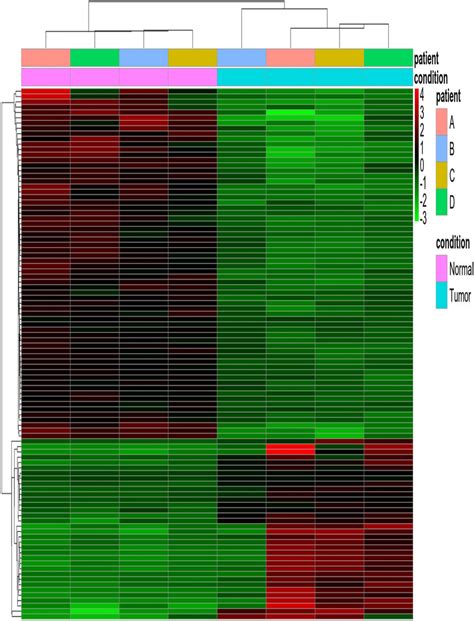 Hierarchical Clustering Heatmap For Top 100 Differentially Expressed Download Scientific