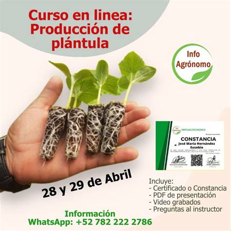 InfoAgronomo Net on Twitter Curso en linea Producción de plántula