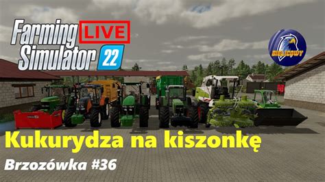 Kukurydza na kiszonkę Wpadasz pomóc Live Brzozówka 35 Farming