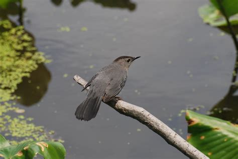 Wildlife Photography Workshop, 6/2/2012 - GSWA