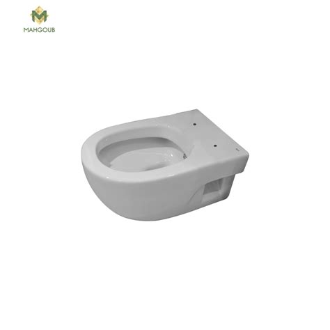 Wall Mounted Toilet Roca Meridian White Mahgoub For Ceramic And Porcelain