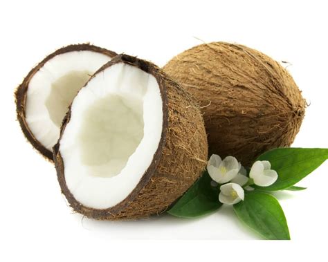 Fresh Coconut Nareal Large 1 Piece 2 Hours Free Delivery Anywhere