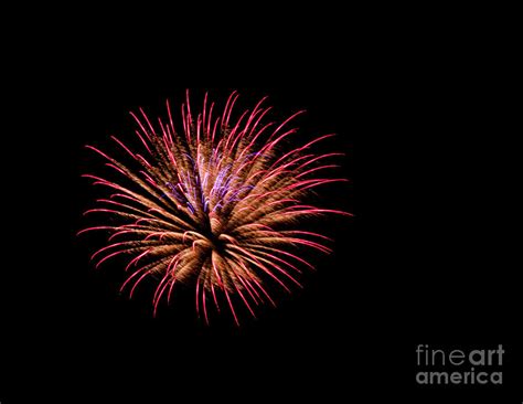 Pink And Orange Fireworks Photograph by Suzanne Luft | Fine Art America