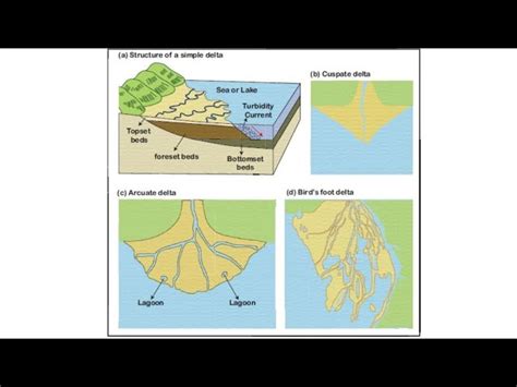 Deltas Diagram