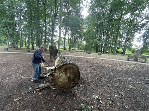 Cudeńka spod piły mechanicznej Rusza plener rzeźbiarski przy pałacu w