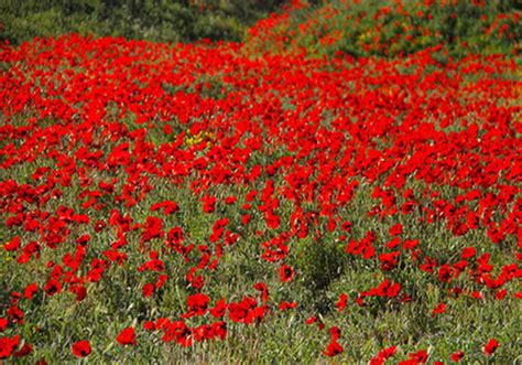 Beautiful Nature of Ardabil Province - Iran Travel Guide - Trip Yar