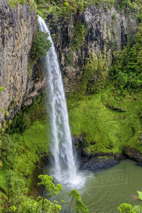 Bridal Veil Falls 55m Raglan Waikato North Island New Zealand