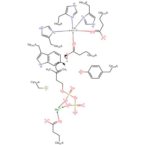 M Csa Mechanism And Catalytic Site Atlas