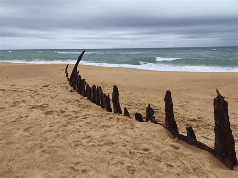 trinculo shipwreck barooma homestead