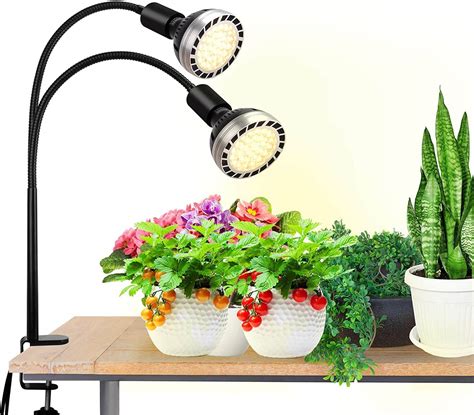 Lampe De Plante Eweima Leds Croissance Clairage Horticole Avec