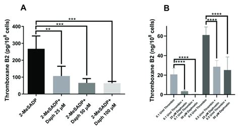 The Effect Of Daphnetin On Thrombin Induced Platelet Aggregation And