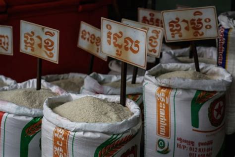 Government To Aid Rice Exports To China The Cambodia Daily