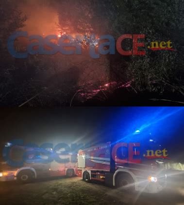 Le Foto Vasto Incendio Nei Pressi Di Un Noto Ristorante Il Tempestivo