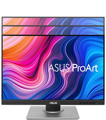 ASUS Monitor ProArt PA248QV - Asus Gold Store - Giaca