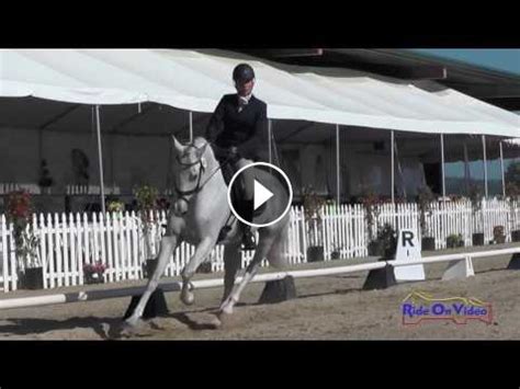 040D Erin Serafini On Be A Star Preliminary Challenge Horse Dressage ...