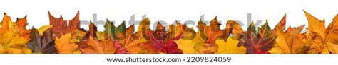 Autumn Leaves Border Frame Stock Photo 2209824059 | Shutterstock