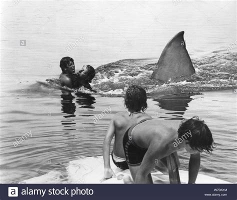 Jaws shark movie 1975 Black and White Stock Photos & Images - Alamy