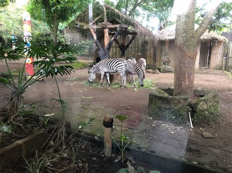 Menjelajahi Keajaiban Alam Di Kota Batu Menyaksikan Keunikan Batu