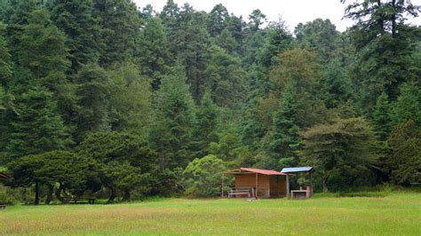 Parque Nacional El Chico