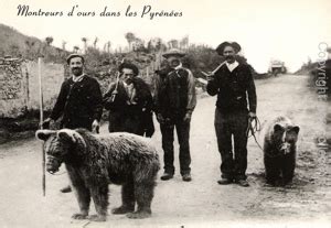 Les montreurs d ours de l Ariège