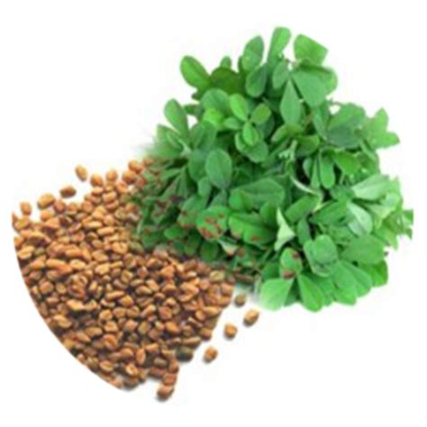 Benefits Of Fenugreek Seeds And Leavesamazoncaappstore For Android