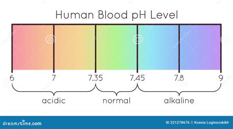 Human Blood Ph Scale Vector Diagram Stock Vector Illustration Of