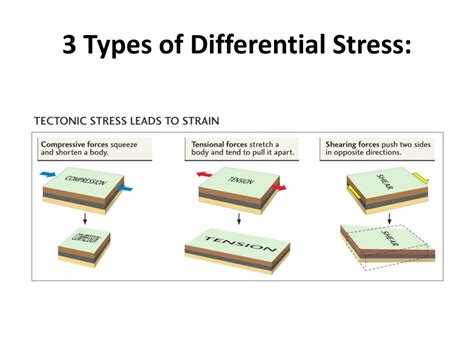 Ppt Rock Deformation Structural Geology Powerpoint Presentation Free Download Id 9530448