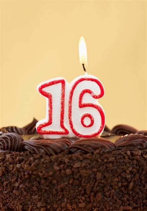 birthday gift ideas  boys thriftyfun