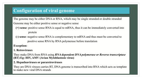 Viral Genomespptx