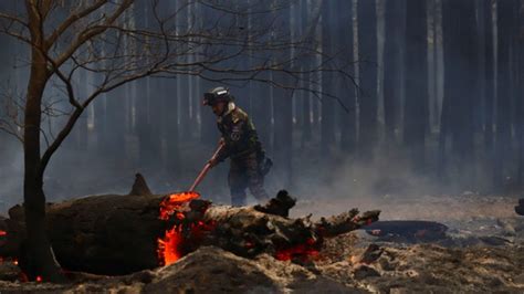 Ribu Hektare Hutan Di Argentina Hangus Terbakar Kumparan