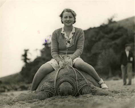 Young Woman Riding A Turtle In Australia 1930s 2048 X 1644 R