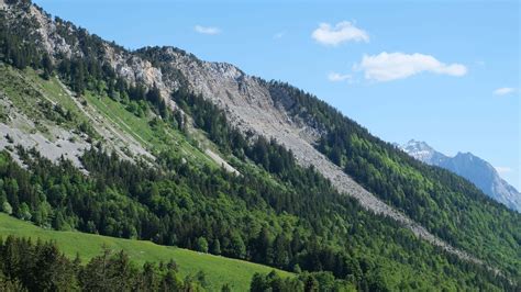 Rock Trees Forest Slope Grass Field Bushes Mountains In Blue Sky